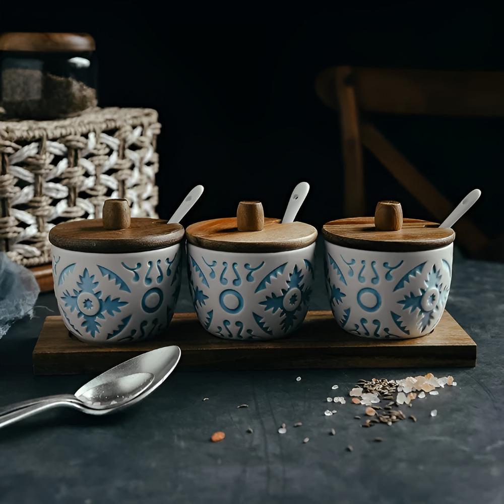 Elegant Modern Ceramic Seasoning Jars | 3-Piece Set with Wood Lids
