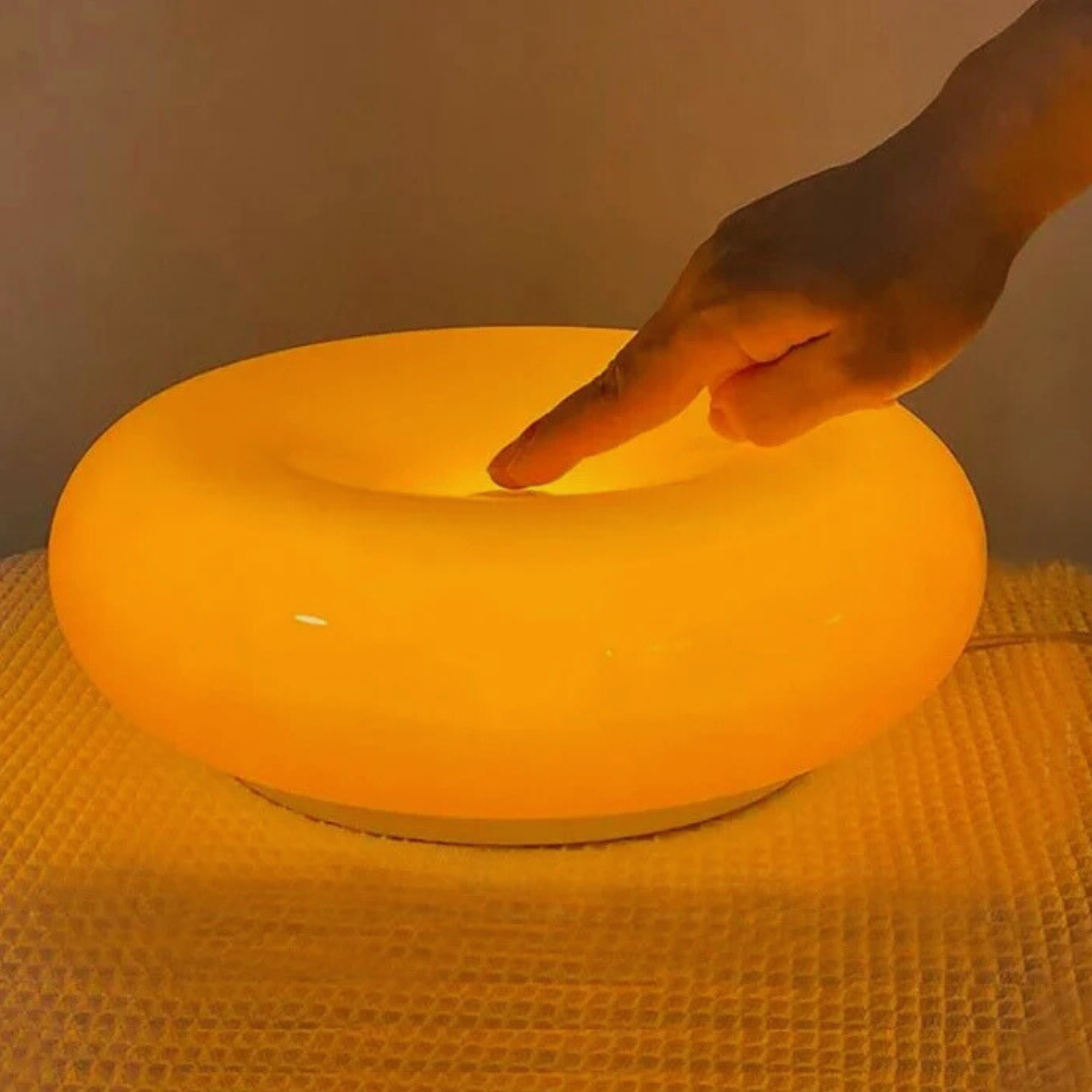 Sleek & Charming Donut Wall Light and Table Light
