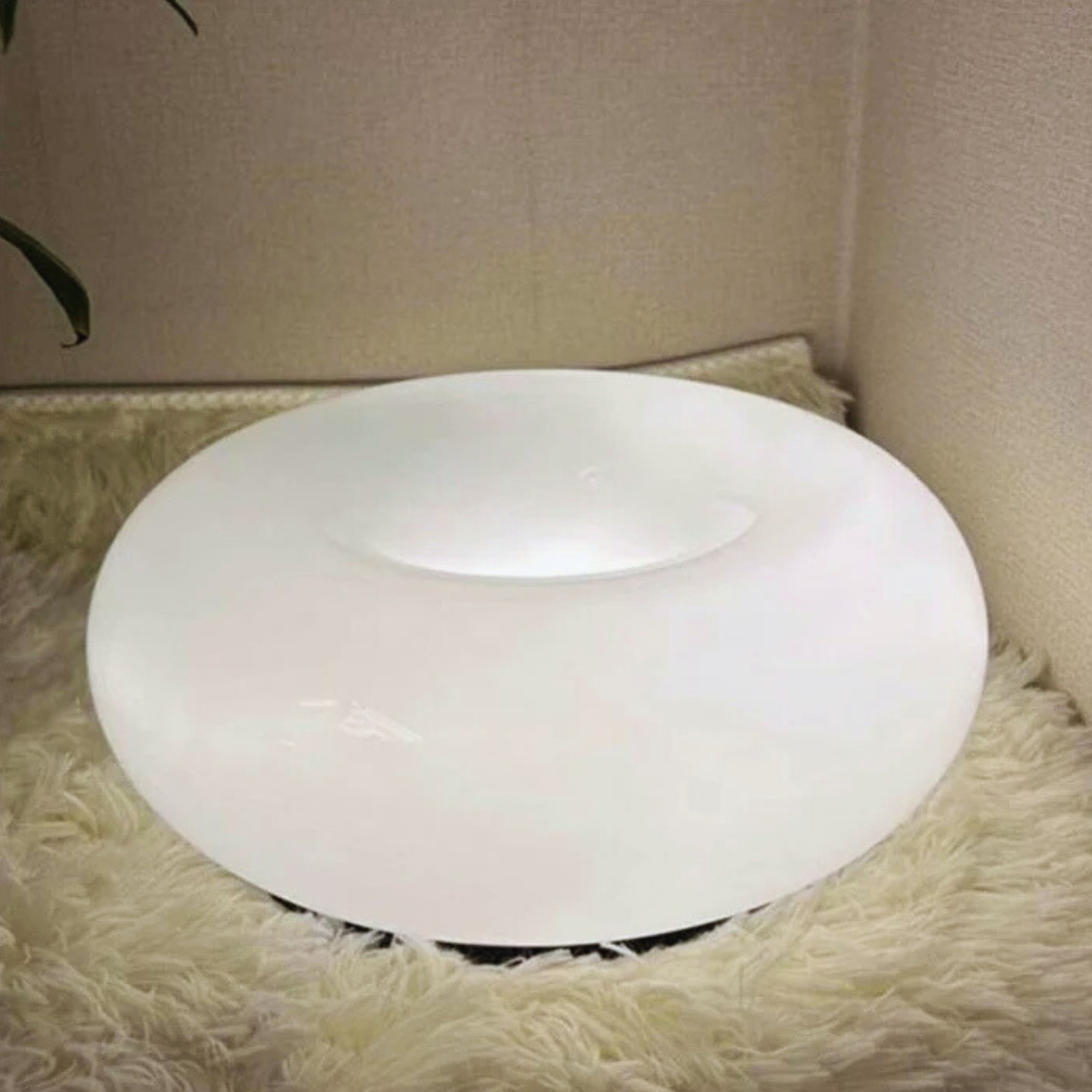 Sleek & Charming Donut Wall Light and Table Light
