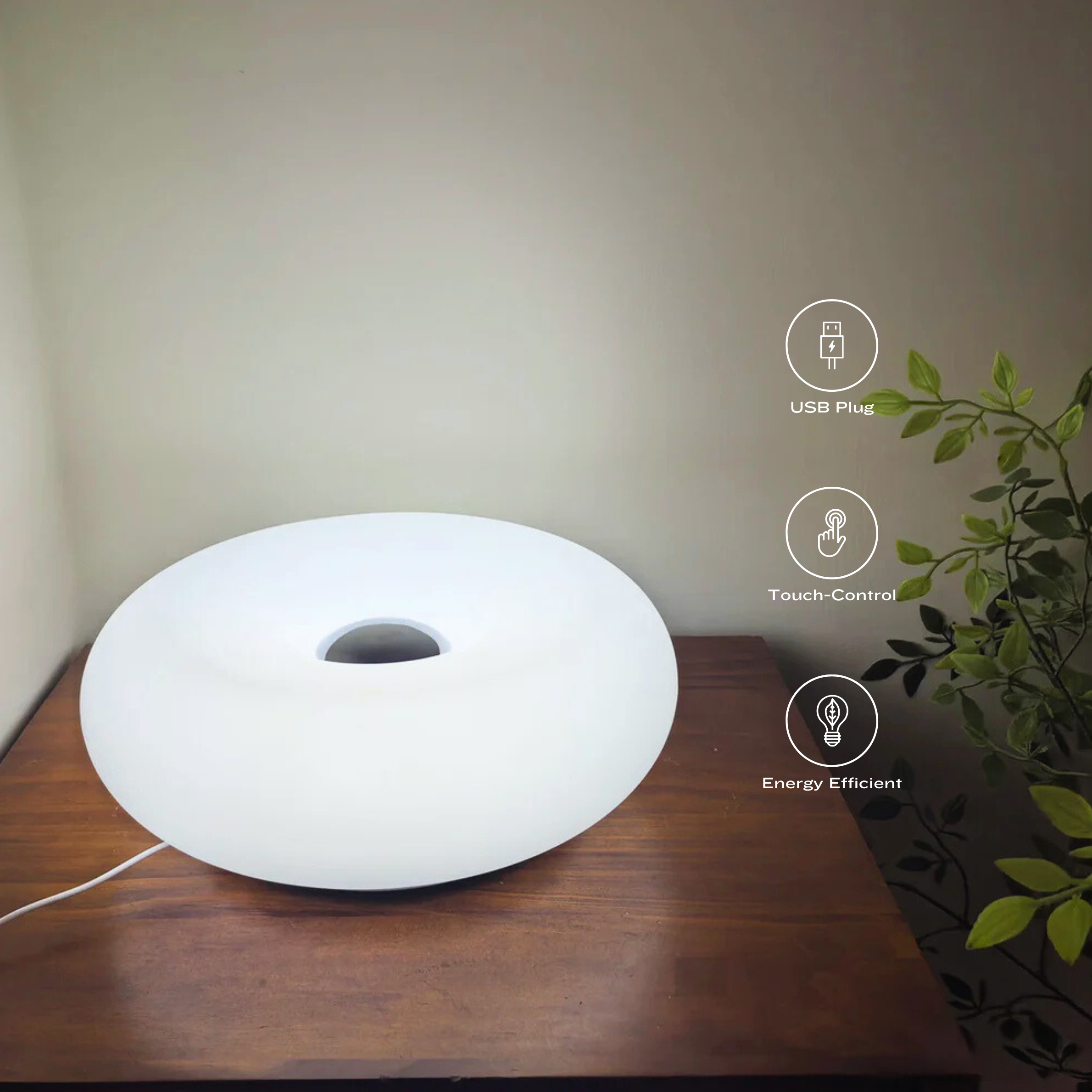 Sleek & Charming Donut Wall Light and Table Light
