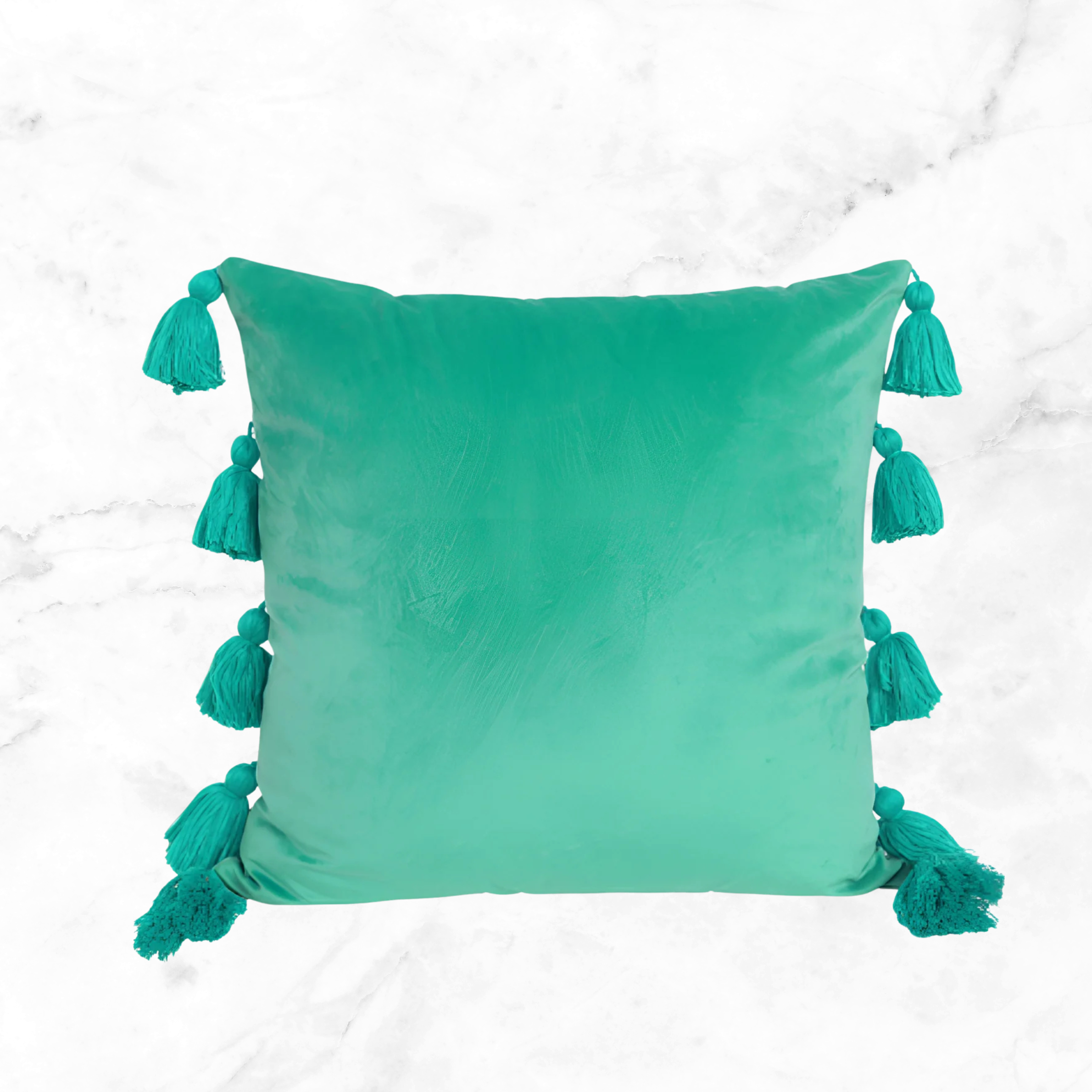 Boho Luxe Pompom Tassel Cushion Cover