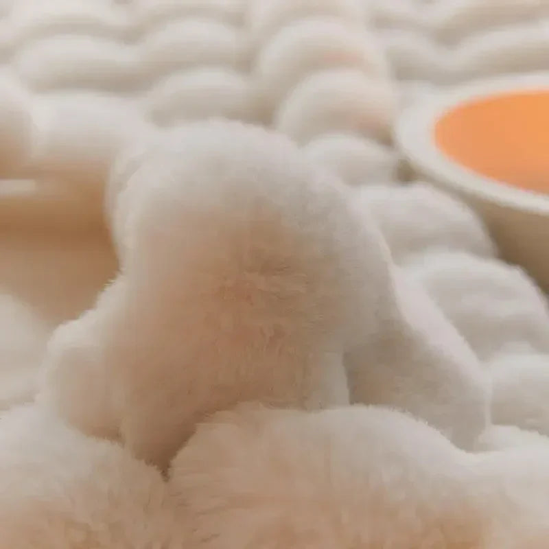 Premium Cloud-Like Plush Blanket