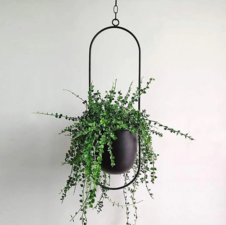 Modern Stylish Hanging Plant Pot