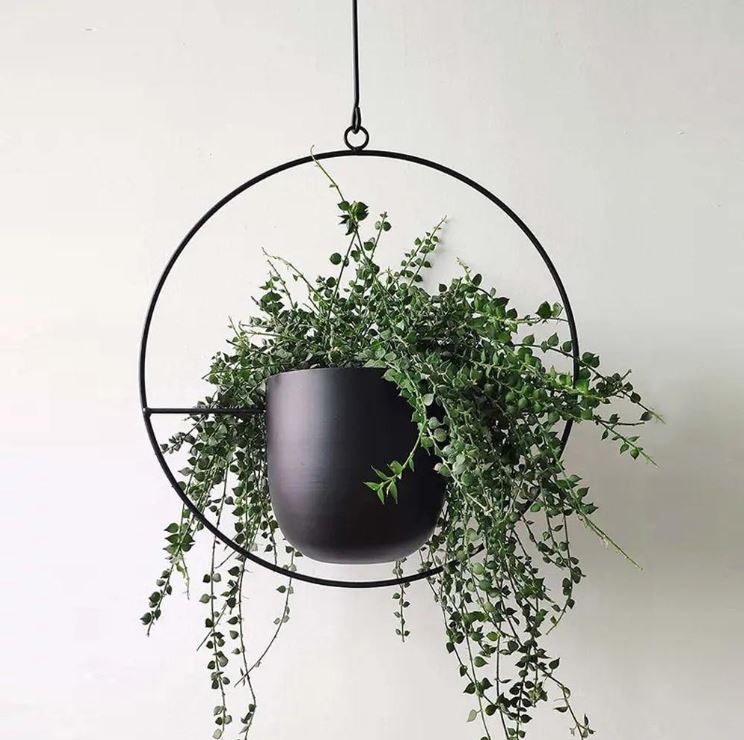 Modern Stylish Hanging Plant Pot