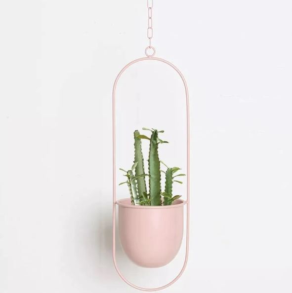 Modern Stylish Hanging Plant Pot