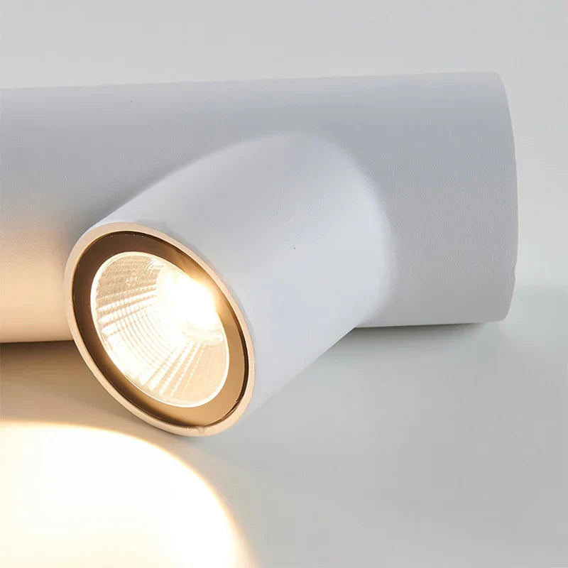 Innovative Versatile Outdoor Wall Light