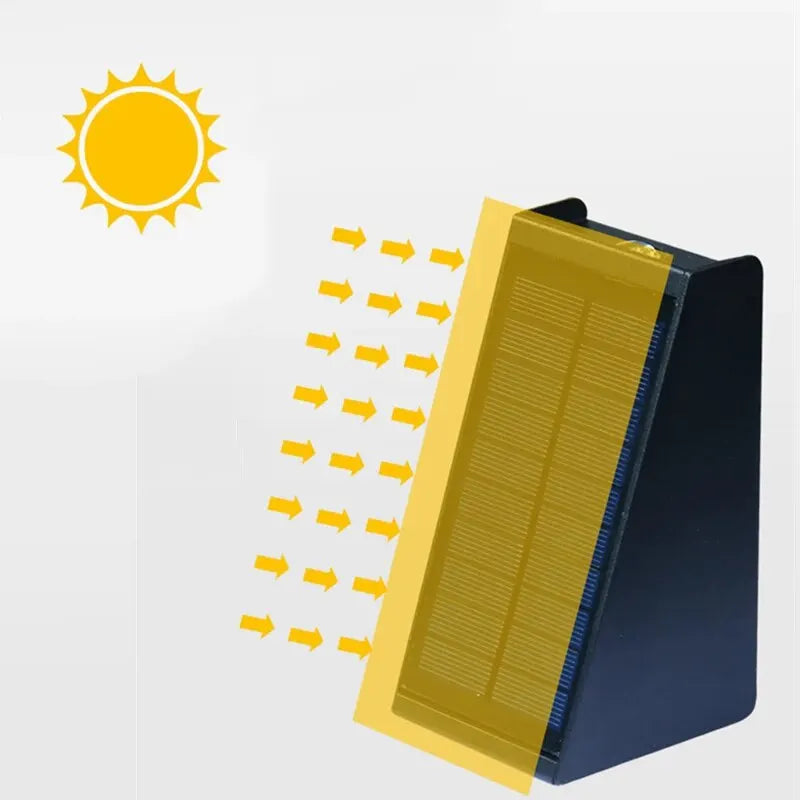 Solar Flare Outdoor Wall Light