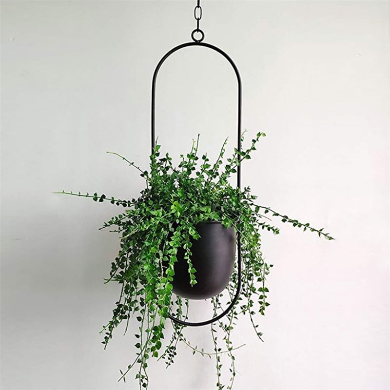 Modern Stylish Hanging Plant Pot