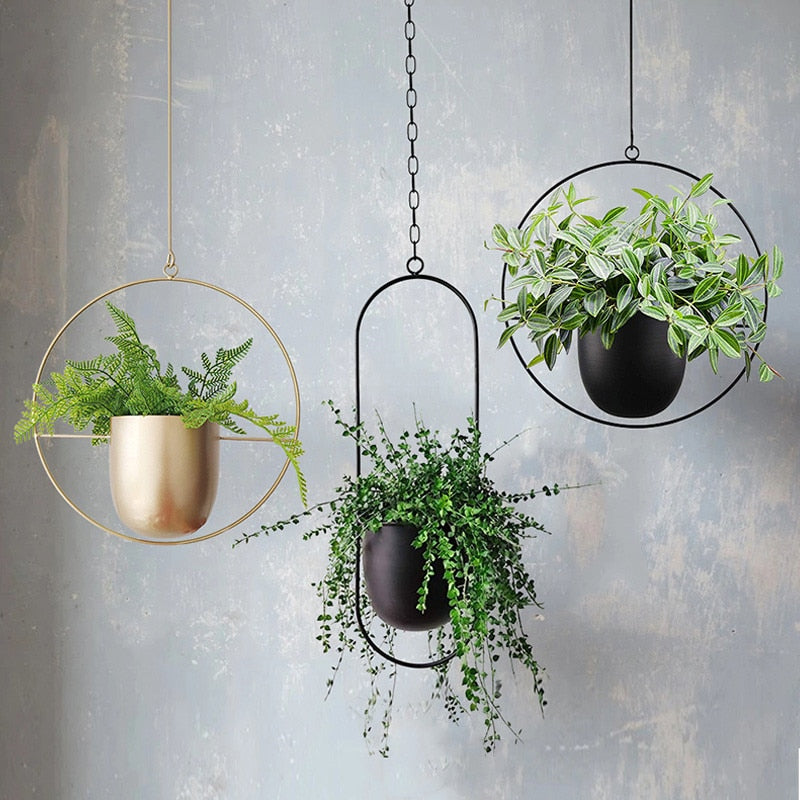 Modern Stylish Hanging Plant Pot